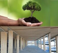 Nachhaltigkeit: Hände halten Baum; Holzgebäude im Bau.